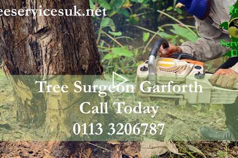 Tree Surgeon Garforth Leeds LS25 - Tree Felling And Removal Services Stump Grinding West Yorkshire