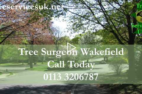 Tree Removal Wakefield | Tree Removal And Trimming Services In Wakefield