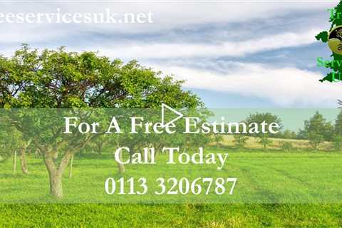 Tree Removal Huddersfield | Tree Removal And Trimming Services In Huddersfield