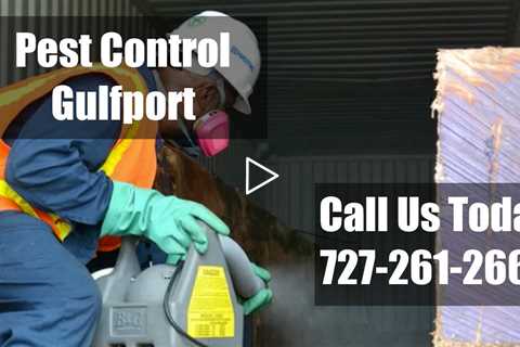 Pest Control Gulfport FL - 24 Hour Domestic Exterminators Bed Bug Control & Termite Treatment