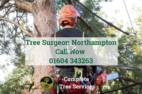 Tree Surgeon Northampton - Emergency Tree Surgery Root Removal Stump Removal & Other Tree Services