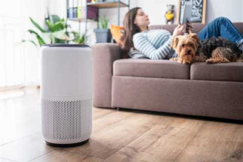 Buyers are obsessed with this smart air purifier with 60% off