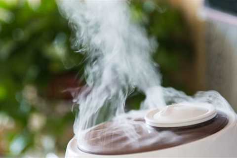 5 Ways To Use Humidifiers: Benefits And Risks