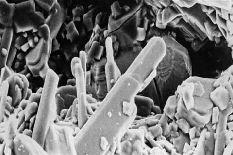 What are the types of sem?