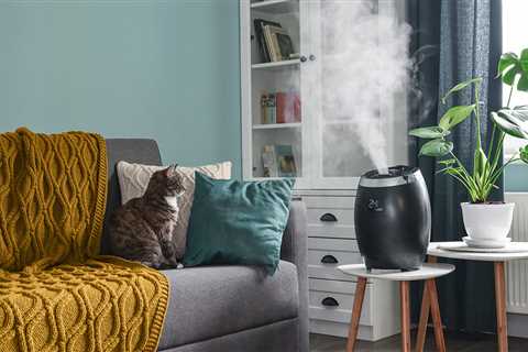 Humidifiers for sinus problems: what works best?