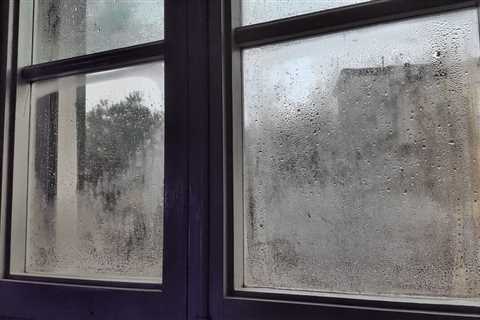 Window Condensation: Cheap Ways to Get Rid of Moisture Without a Dehumidifier