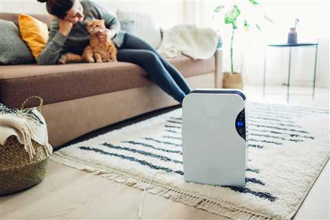 How to Choose the Right Dehumidifier for Your Home – Bob Vila