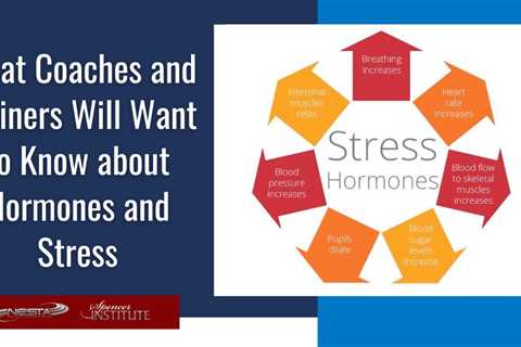 Which Hormones are Involved with Stress?