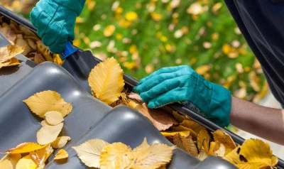 Gutter Cleaning Rangeworthy