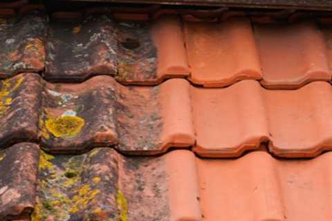 Roof Cleaning Dilton Marsh