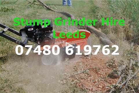 Stump Grinder Hire Leeds The Solution To Your Tree Stump Problems Landscaping Equipment For Rental