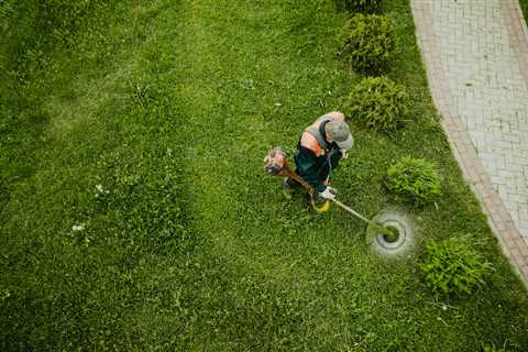 Thinking of Hiring Day Laborers? Here’s Where To Start