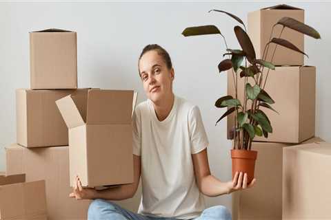 What Additional Services Does a Moving and Storage Company Offer?