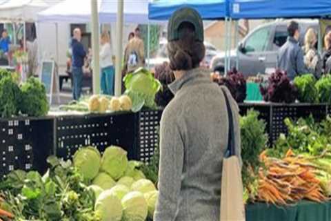 Can Dogs Go to Farmers Markets in California? A Comprehensive Guide