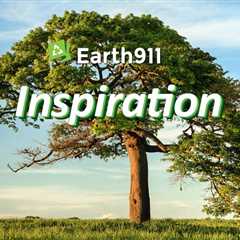 Earth911 Inspiration: Wonders and Realities of the Universe