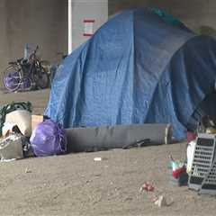 Mental Health Struggles of Homeless People in Travis County, Texas