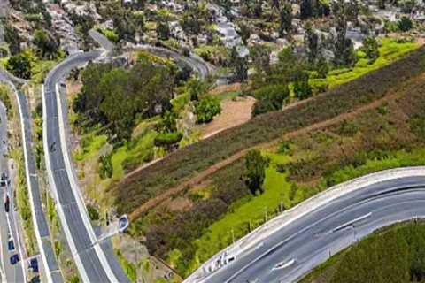 The Rise of the Granada Hills Neighborhood Organization: A Historical Perspective