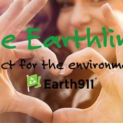 We Earthlings: Save Winter!