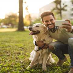 Dog Flu Outbreak: Minnesota Releases New Guidelines As Cases Pile Up