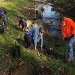 How to Make a Positive Impact on the Environment in Central Pennsylvania