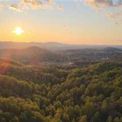 The Impact of Climate Change on Local Wildlife and Ecosystems in Charlottesville, VA