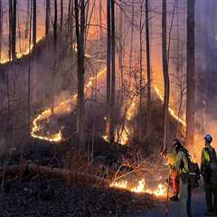 Climate Change in Charlottesville, VA: Extreme Weather Events and Their Impact