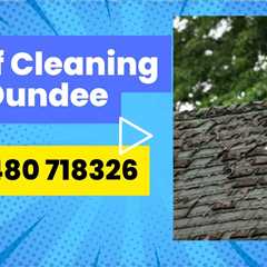 Dundee Roof Cleaning Our Roof Cleaners Specialise In Quick And Efficient Roof Cleaning Services