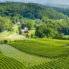 Discovering the Hidden Gems of Organic and Sustainable Wineries in Stafford County, VA