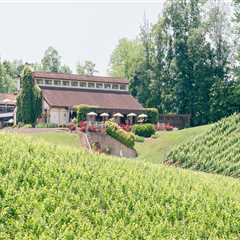 Exploring the Wineries in Stafford County, VA: A Guide to Wine Club Memberships