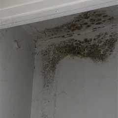 Does Your Long Island Summer Rental Have Mold?