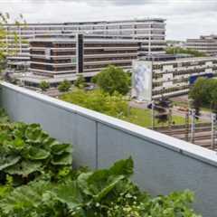 Broom Roof Leak Detection Experienced Local Roof Inspectors Will Take Care Of Your Commercial Roof..