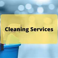 Oven Cleaning Healey Expert Cooker Cleaning By Professional Local Oven Cleaners