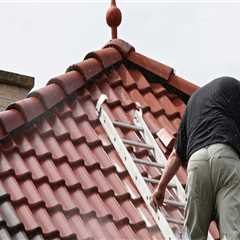 Newton Roof Cleaning Our Local Roof Cleaners Specialise In Quick And Efficient Roof Cleaning..