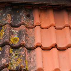 Town Centre Roof Cleaning Our Local Roof Cleaners Specialise In Quick And Efficient Roof Cleaning..