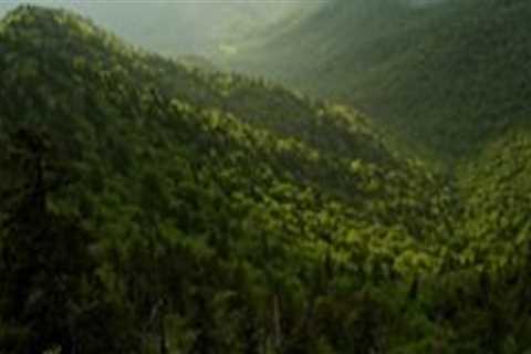 Preserving Northeast Tennessee's Natural Resources: Challenges and Opportunities