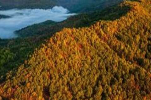 Maximizing Tax Benefits for Charitable Donations in Campbell County, Kentucky