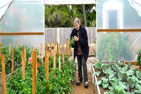 Sustainable Practices in Lane County, Oregon: How Community Organizations are Making a Difference