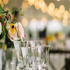 The Ultimate Guide to Hosting a Family Reunion in Hennepin County, Minnesota