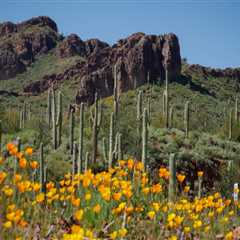 Exploring the Impact of Foundations in Pinal County, Arizona