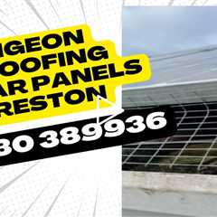 Pigeon Proofing Solar Panels Preston Homeowners & Landlords Keep Your Solar Panels Safe & Efficient
