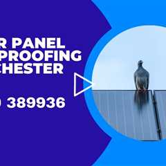 Pigeon Proofing Solar Panels Manchester Stop Pigeons & Other Birds Nesting & Damaging Your Panels