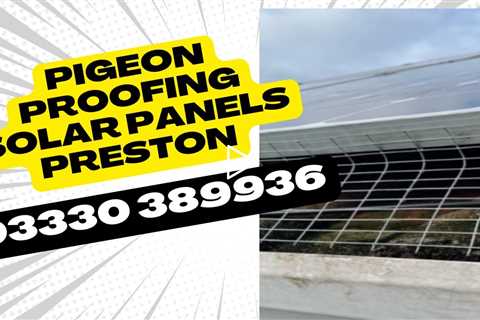 Pigeon Proofing Solar Panels Preston Homeowners & Landlords Keep Your Solar Panels Safe & Efficient