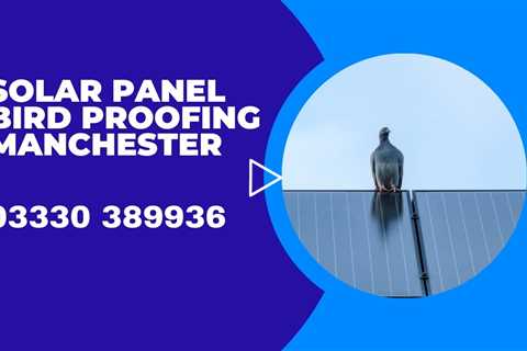 Pigeon Proofing Solar Panels Manchester Stop Pigeons & Other Birds Nesting & Damaging Your Panels