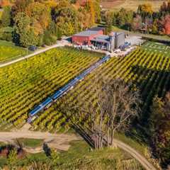 The Ultimate Guide to Wine Clubs and Loyalty Programs in Chautauqua County, New York