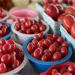 The Ins and Outs of Public Markets in Duval County, Florida