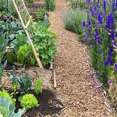 Community Services in Southern Maryland: How to Get Involved with Community Gardening and Urban..