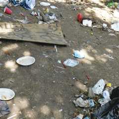Addressing Poverty and Homelessness in Southwestern Missouri: Insights from Local Organizations