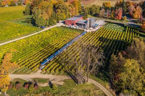 The Ultimate Guide to Wine Clubs and Loyalty Programs in Chautauqua County, New York