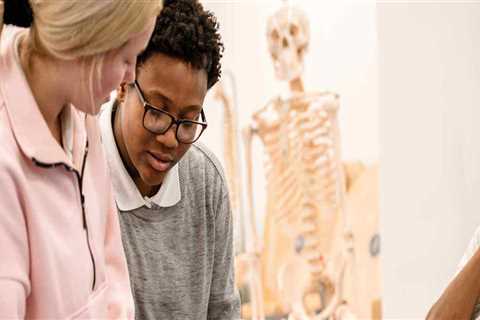 Why Hire A Massage Therapist In Springfield Who Has Medical Professional Networking Connections?