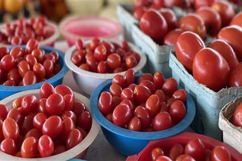 The Ins and Outs of Public Markets in Duval County, Florida
